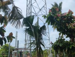 Diduga “Main Hakim Sendiri”, Pelaksana Proyek Menara di Lampung Timur Kecam Intervensi Lembaga Konsumen