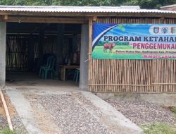 Realisasi ketahanan pangan melalui BUMDES Arta guna , pekon Wates, Pringsewu di pertanyakan