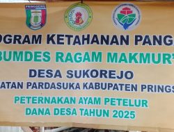 Ketahanan Pangan Di Pekon Sukorejo Pringsewu Cukup Maju