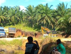 Tambang Galian C Ilegal di Pringsewu Beroperasi Bebas, Diduga Ada Pembiaran.