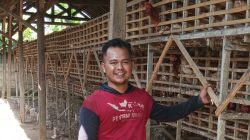 Program Ketahanan Pangan Pekon Srikaton Kembangkan Usaha Ayam Petelur.